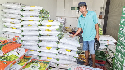 Giá phân bón tăng cao, sức mua yếu