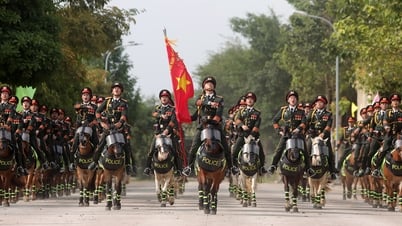Ngắm dàn kị binh, chiến mã tinh nhuệ diễu hành, biểu diễn trên đường phố Hải Phòng