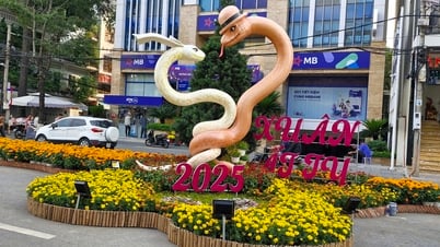 Cần Thơ dự kiến làm đường hoa nghệ thuật khoảng 6 tỉ đồng