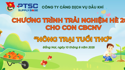 Đoàn Thanh niên Công ty Cảng Dịch vụ Dầu khí và Chương trình “Hè Trải nghiệm” năm 2025 dành cho con CBCNV