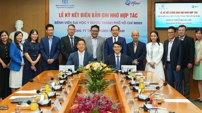 Pfizer và Bệnh viện Đại học Y Dược TP.HCM hợp tác nâng cao năng lực y khoa