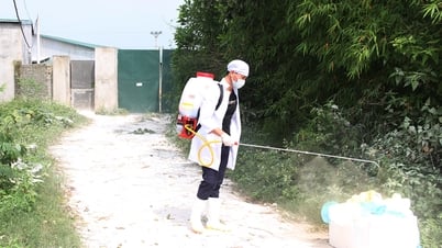 Bắc Ninh: Triển khai Tháng tổng vệ sinh, khử trùng, tiêu độc môi trường
