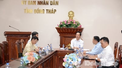 Đề xuất xây dựng đường nhánh kết nối tạm và đường dân sinh