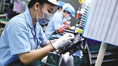 Việt Nam - điểm đến chiến lược giữa làn sóng thuế quan
