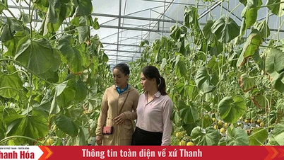 Đẩy mạnh các phong trào thi đua trong hoạt động tín dụng chính sách