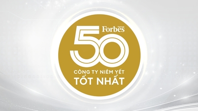 MWG Góp Mặt Trong Danh Sách 50 Công Ty Niêm Yết Tốt Nhất Việt Nam Năm 2025