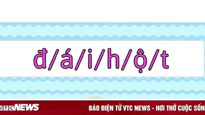 Thử thách sắp xếp chữ cái thành từ có nghĩa
