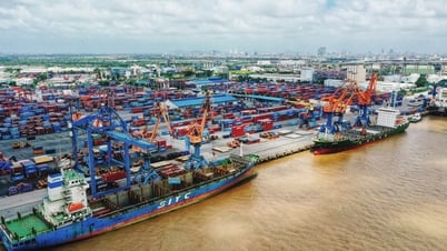 Dịch vụ kế toán, đóng tàu... có thể được gỡ bỏ khỏi ‘vòng' xin phép