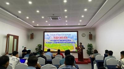 Khai giảng Lớp tập huấn về du lịch thuộc Dự án 6, Chương trình mục tiêu quốc gia phát triển kinh tế - xã hội vùng đồng bào dân tộc thiểu số và miền núi năm 2025