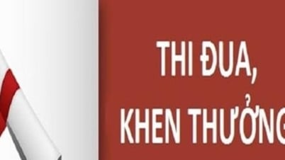 Hà Nội lấy ý kiến đề nghị khen thưởng nhiều tập thể, cá nhân ngành Giáo dục