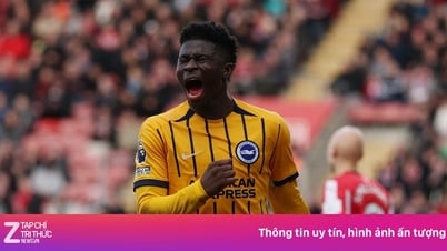 Baleba có thể nổi loạn để đến MU