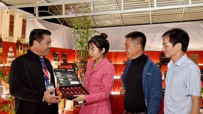 Phát huy thế mạnh, thu hút đầu tư