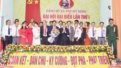 Xây dựng xã Phù Mỹ Đông phát triển nhanh và bền vững, trở thành xã kinh tế trọng điểm thuộc tiểu vùng phía Đông Bắc của tỉnh