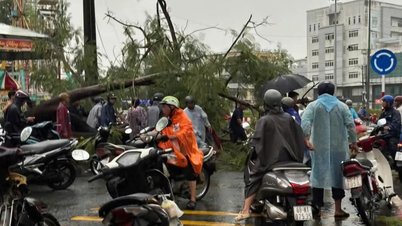 Cà Mau: Cây xanh bật gốc, đè 2 người đi đường