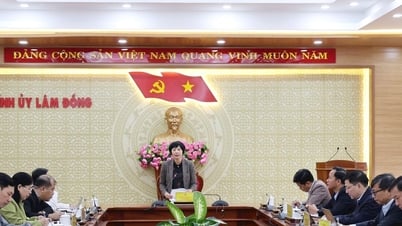 Lâm Đồng kiện toàn Ban Chỉ đạo thực hiện dân chủ ở cơ sở