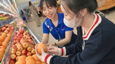 Cam Úc hảo hạng giảm sốc chỉ 81.900 đồng/kg tại Co.opmart và Co.opxtra