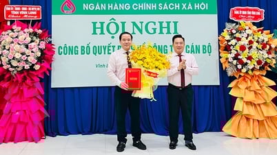 Ông Lê Hoàng Phi làm Giám đốc chi nhánh Ngân hàng Chính sách xã hội tỉnh Vĩnh Long