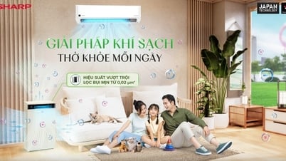 Sharp nâng tầm chất lượng sống với công nghệ plasmacluster ion Nhật Bản