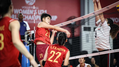 Bóng chuyền Việt Nam kiến nghị với FIVB, tránh sự cố tái diễn