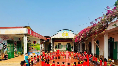 Xem xét, thành lập Hội đồng tư vấn giáo dục cấp xã, nhóm cán bộ quản lý giáo dục cốt cán