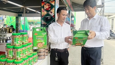 Nâng tầm hoạt động xúc tiến thương mại cho các sản phẩm OCOP