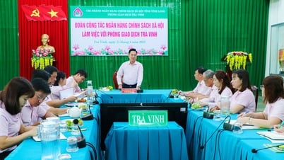 Lãnh đạo Ngân hàng Chính sách xã hội Trung ương làm việc với Phòng giao dịch Trà Vinh