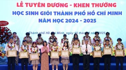 TPHCM: Khen thưởng 929 giáo viên, học sinh có thành tích xuất sắc trong năm học 2024-2025