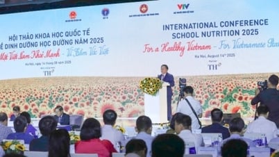Bàn chuyện nâng cao tầm vóc và thể lực của thế hệ trẻ