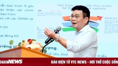 Kinh tế tư nhân có dấu hiệu 'hụt hơi', nhiều doanh nghiệp không muốn lớn