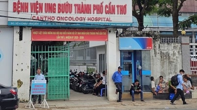 Bệnh viện Ung bướu 'kêu khó' khi được giao đấu thầu thuốc tập trung cho cả thành phố Cần Thơ