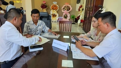 Rà soát số lượng, chất lượng cán bộ, công chức, viên chức cấp xã