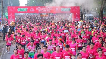 Khoảng 12.000 VĐV tham dự Giải VPBank Đất Sen Hồng Music Marathon 2025