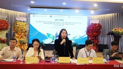 Tìm giải pháp canh tác nông nghiệp xanh, giảm phát thải tại Đắk Lắk