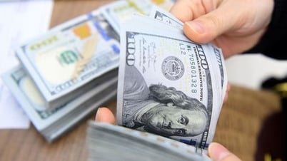 Ngày 15-8: Tỷ giá trung tâm VND/USD theo đà tăng