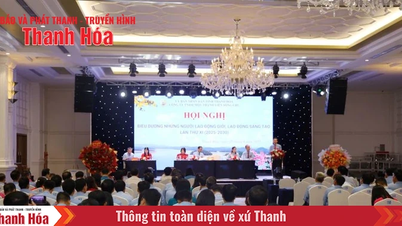 Công ty TNHH một thành viên Sông Chu biểu dương người lao động giỏi, lao động sáng tạo