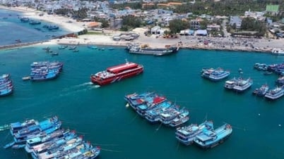 Hòn đảo Phú Quý cách bờ biển Bình Thuận 100km, nay là 1 đặc khu tỉnh Lâm Đồng, đón 1.000 khách du lịch/ngày