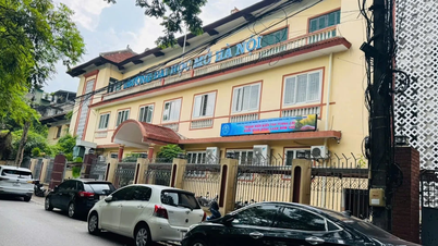 Tiếp bài Trường đại học 'lay lắt': Hơn 30 năm 'ở đậu'