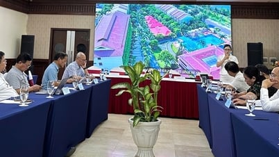 Nâng tầm giá trị nhãn du lịch xanh trở thành nhãn hiệu giao dịch quốc tế