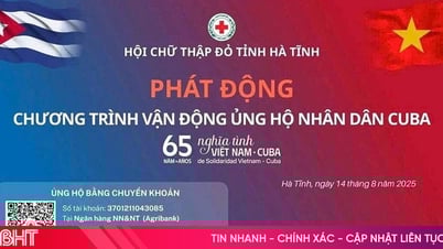 Hà Tĩnh triển khai chương trình vận động ủng hộ Nhân dân Cuba