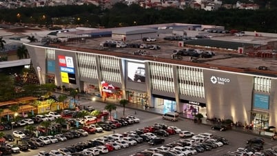 Zwei vietnamesische „Giganten“ schließen sich zusammen, um chinesische Autos zu verkaufen