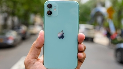 Nhiều mẫu iPhone dừng bán tại Việt Nam
