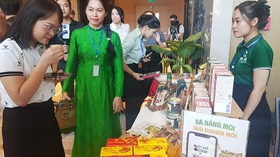 Đà Nẵng tung loạt ưu đãi kích cầu du lịch cuối năm 2025
