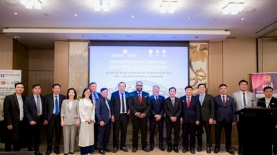 Mở rộng hợp tác đầu tư giữa thành phố Huế và các đối tác của Úc