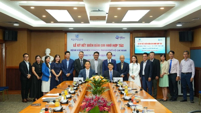 Hợp tác nâng cao năng lực y khoa cho các bệnh viện khu vực phía Nam