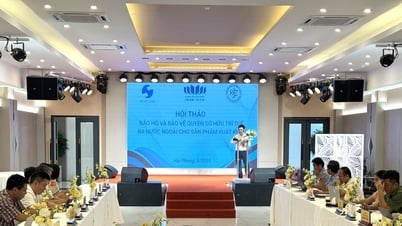 Bảo hộ và bảo vệ quyền sở hữu trí tuệ ra nước ngoài cho sản phẩm xuất khẩu