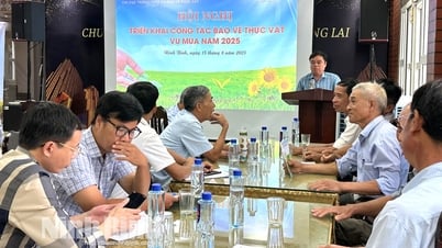 Triển khai công tác bảo vệ thực vật vụ mùa 2025