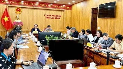 Hợp tác với Cuba đưa Lâm Đồng trở thành “thung lũng công...
