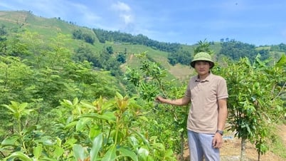Người Trưởng xóm "thắp lửa" cho quê hương