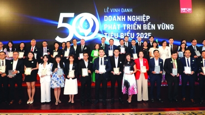MWG Nằm Trong Top 50 Doanh Nghiệp Phát Triển Bền Vững Tiêu Biểu Việt Nam 4 Năm Liên Tiếp