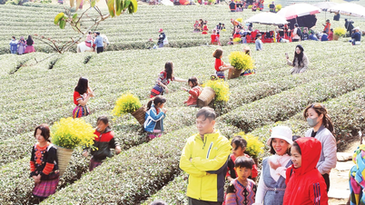 “Kho báu” thiên nhiên và bản sắc